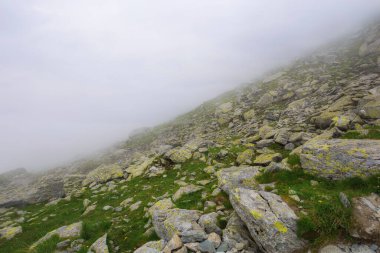 Romen Karpatlar için tehlike ve güzellik. Sisin içinde kayalık dik yamaçlar. bulutlu gökyüzü