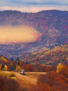 Ukraynalı Karpatların kırsal arazisi. Sonbaharda dağlık kırsal alan. Sonbahar renklerinde, benekli sabah ışığında ormanlı tepelerin manzarası