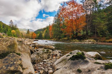Nehrin kıyısında taş ve kayalarla dolu bir manzara. Sonbahar manzarası bulutlu gökyüzü ile dağlarda