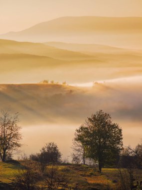 Şafak vakti dağlık arazi. Çimenli kırsal araziler sabah vakti kayan tepelerde. Sonbahar renklerinde ağaçlar. Uzak vadide sis var. Tepenin üstündeki bulutlarla aydınlık gökyüzü