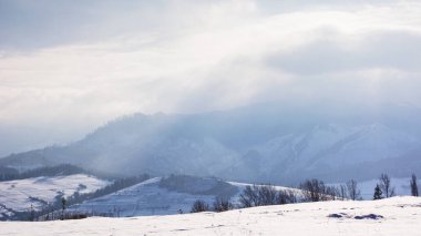 Kışın dağlık Karpatlar kırsalında. Karla kaplı tepeleri olan yuvarlak bir manzara. Tepenin üzerindeki bulutlarla sisli hava