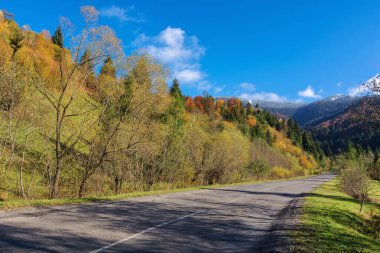 Sonbahar mevsiminde dağlık kırlarda yol. Orman yamacı ve çimenli çayır güneşli bir günde mavi gökyüzünde bulutlar. Transcarpathia, Ukrayna