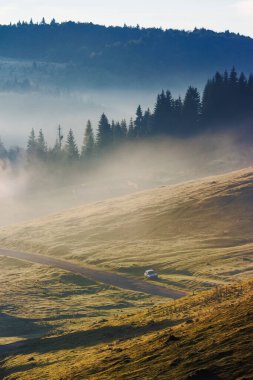 Sabah sisinde dağlık kırlarda. Çimenli tepedeki kozalaklı orman. Vadiden geçen eski dar yol. Güneşli bir hava. Apuseni doğal parkının güzel doğa manzarası, Romanya