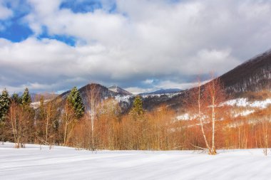 Kışın dağlık doğa manzarası. Yapraksız ağaçlarla kaplı tepeler