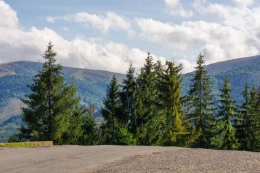 Sonbaharın başlarında dağlardan geçen eski bir yol. Tepedeki çam ağaçları. Tüylü bulutlarla kaplı gökyüzü akşam ışığında tepenin üstünde