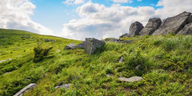 Yazın dağlık bir manzara. Çimenli tepelerde kaya ve kaya oluşumları. Gökyüzünde bulutlarla güneşli bir öğleden sonra