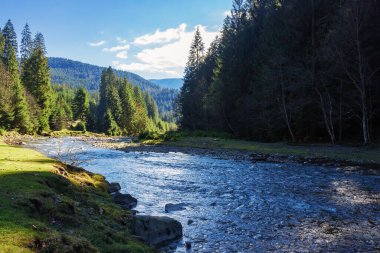 Nehir ormanlık kırsal vadiden akar. Karpatya dağlarının manzarası Sonbaharda güneşli bir günde