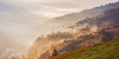 Gün doğumunda dağlık kırsal alan. Sonbahar renklerinde sabah vakti orman tepeleri. Sonbaharda sisli hava. Yukarıdan görünüm
