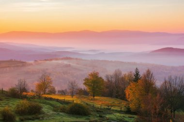 Dağlarda sisli sonbahar gündoğumu. Sabah vakti çimenli tepelerde renkli ağaçların olduğu manzara. Kırsal alan sisle dolu uzak vadiye doğru ilerliyor.