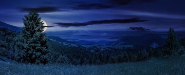 Geceleri çayırda ladin ormanları olan dağlık bir manzara. Dolunay ışığında harika bir kır manzarası