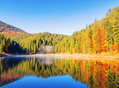 Gölü olan sonbahar manzarası. Mavi gökyüzü ve sisle güneşli bir sabah. Orman tepeleri su yüzeyine yansıyor..