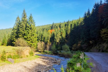 Sonbaharda dağ nehri daralacak. Beklenmedik kuraklık ve kurak sonbahar mevsimi. Kıyıdaki taşlar ve sığ su akıntısı. Ukrayna Karpatlarında çevre felaketi