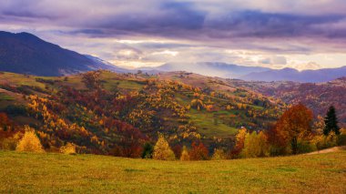 Sonbaharda bulutlu bir sabahta kırsal alan. Orman tepeleri ve çimenli otlaklarıyla çarpıcı bir dağ manzarası.