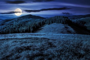 Gece bir dağ tepesinde, kozalaklı ormanın yanındaki çimenli çayır. Dolunay ışığında muhteşem sonbahar manzarası.