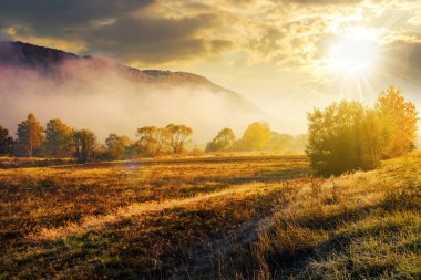 Gün batımında bulutlu gökyüzünün altında vadideki çayırda ağaçların arasında sis. Güzel sonbahar kırsal manzarası Akşam ışığında