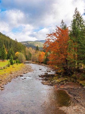 Sonbaharda dağlık bir manzara. Vadide kıvrılan küçük bir nehir. Orman tepeleri arasında renkli kır manzarası. bulutlu hava