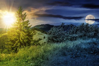 fir tree on a meadow in mountains landscape with sun and moon at twilight. day and night time change concept. mysterious countryside scenery in morning light clipart