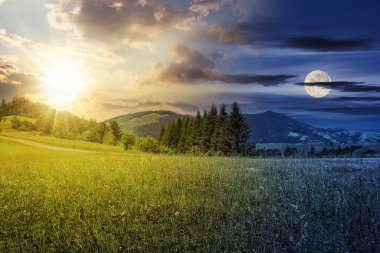 Gündüz ve gece zaman kavramını değiştirir. Alacakaranlıkta gökyüzünde güneş ve ay olan çayırın arkasındaki kozalaklı orman. Güzel kırsal manzara Sabah ışığında
