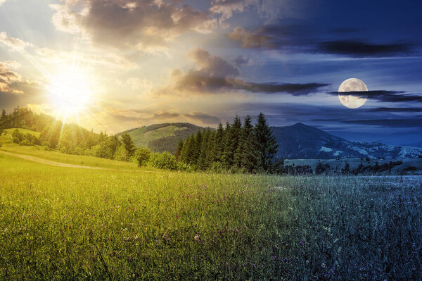 day and night time change concept. coniferous forest behind the meadow with sun and moon on the sky at twilight. beautiful countryside scenery in morning light