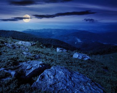 Geceleri dağlık bir manzara. Yamaçtaki taşlar. Dolunay ışığında harika bir doğa manzarası