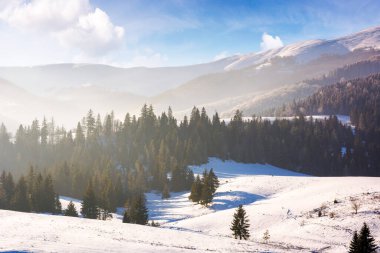 Dağlık Karpatya kırsalının kış manzarası. Tüylü bulutlu mavi gökyüzünün altında ormanlık karla kaplı tepeler. Güneşli bir günde puslu bir atmosfer