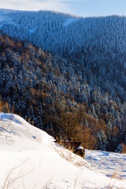 Dağlık kış manzarası. Karla kaplı tepe ve orman kıpkırmızı