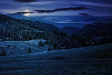 Geceleri dağlık bölgedeki tepelerde çayırların olduğu çayırların olduğu bir yaz manzarası. Dolunay ışığında harika bir kır manzarası