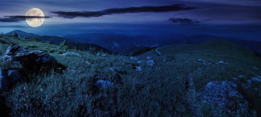 Geceleri yamaçtaki taşların arasındaki çayırlarda dar patikalı panoramik bir manzara. Dolunay ışığında harika bir dağ manzarası.