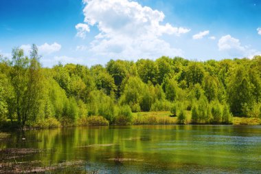 Park Lake 'in manzarası. Tüylü bulutlu bir gökyüzünün altındaki tepede orman. Sıcak nisan havası