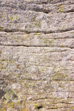 Kırık ve yosunlu gri kireç taşının kaba doğal dokusu.