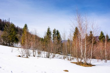 Baharın başlarında Transcarpathia 'nın dağlık manzarası. Güneşli bir günde tepede yapraksız ağaçlar vardı.