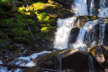 Shypit Şelalesi yakın plan. Sabah ışığında yosunlu kayalar arasında temiz su akışı. Yazın Karpatların tazeliği
