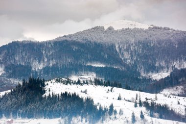 Orman Karpatlar kışın dağ manzarası. Bulutlu bir günde soğuk hava manzarası