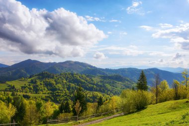 Akşam vakti Karpat dağlarının çarpıcı kırsal manzarası. Baharda çimenli çayır ve ormanlık tepelerde çitleri olan Ukrayna 'nın dağlık kırsal manzarası. Gökyüzünde kabarık bulutlar