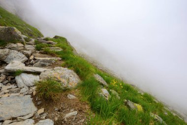 Romen Güney Karpatlarının tehlike ve güzelliği. Sis içindeki muhteşem ibne dağlarının çimenli dik yamaçlarında kayalar. bulutlu gökyüzü