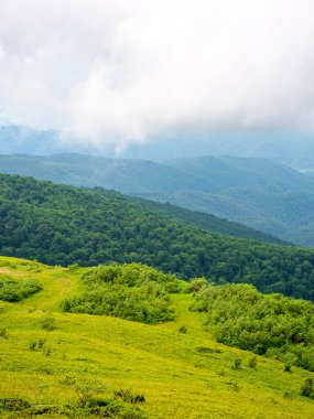 Yazın Caprathian Dağı manzarası. Bulutlu bir günde Ukrayna dağlarının yeşil çayırlar ve orman tepeleri