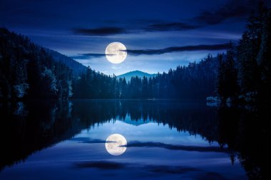 Ay bir gölün su yüzeyine yansıyor. Tepedeki karanlık ormanlı gece sahnesi