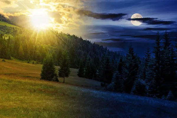 mountain landscape with sun and moon at twilight. meadow on the hillside with coniferous forest. day and night time change concept. mysterious countryside scenery in morning light
