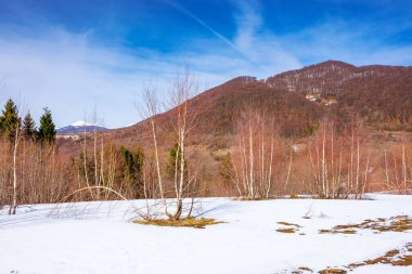 Çayırda yapraksız ağaçlar vardı. Baharda güneşli bir günde dağlık Karpatya manzarası