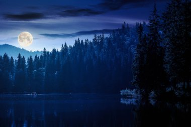 Ormanlar arasındaki gölün birleşik gece sahnesi. Carpathian Ulusal Parkı 'nın dolunay ışığında harika manzarası.