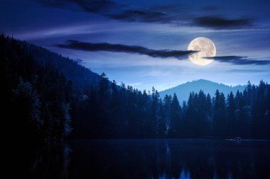 Ormanlar arasında bir gölün birleşik gece sahnesi. Carpathian Ulusal Parkı 'nın dolunay ışığında harika manzarası.