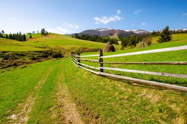 Karpatya kırsal manzarası ilkbaharda güneşli bir sabahta. Ukrayna 'nın dağlık kırsal arazisinde çayırların arasında patika ve ahşap çitlerin arkasında saman yığını var. Çimenli tepenin üzerindeki köknar ormanı