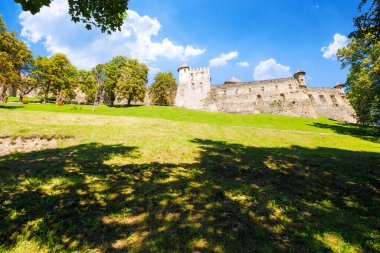 stara lubovna, slovakya - 28 Ağustos 2016: Stara Lubovta kasabasındaki ortaçağ kalesi. Slovakya 'da popüler bir seyahat merkezi. Avrupa 'da kale turizmi