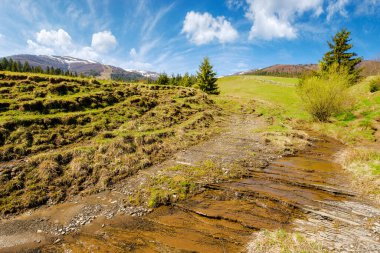 Karpat dağları vadisinden geçen sığ su akıntısı. Borzhava sıradağları uzakta. Baharda güneşli bir günde Ukrayna kırsalının manzarası