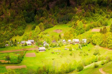İlkbaharda kırsal bir arazinin çarpıcı manzarası. Çimenli yamaçtaki ağaçların ve tarlaların arasındaki köy benekli ışıkta. Ukrayna 'nın Transcarpathian bölgesinin güzel dağlık manzarası