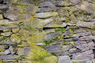 Antik taş duvar. Grunge yüzeyinde yosun ve bitkiler