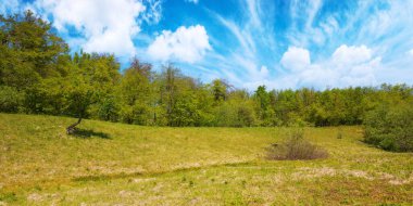 İlkbaharda ormanlık tepeleri olan Karpat doğa manzarası. Kayın ormanlarıyla çevrili geniş çimenli bir açıklık. Antalovecka poljana, Ukrayna