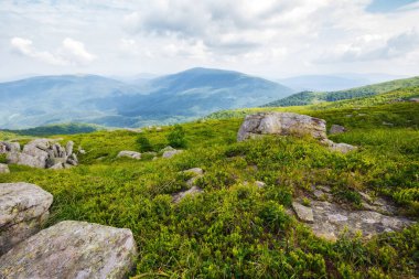 Çimenli yuvarlanan tepelerde kayaları olan dağlık bir manzara. Karpatların doğa manzarası, değil mi? Runa ayrıca Pürüzsüz Dağ, Ukrayna olarak da bilinir.
