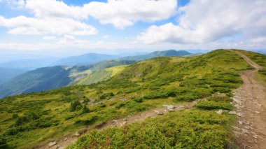 Tepeler ve çayırlar boyunca patika. Ukraynalı Karpatların Alp manzarası. Yaz aylarında Petros Kornohora Dağları 'na popüler seyahat yerleri