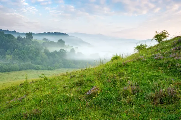 아침에 카르파티아 우크라이나의 언덕과 여름에 미스티 스톡 사진